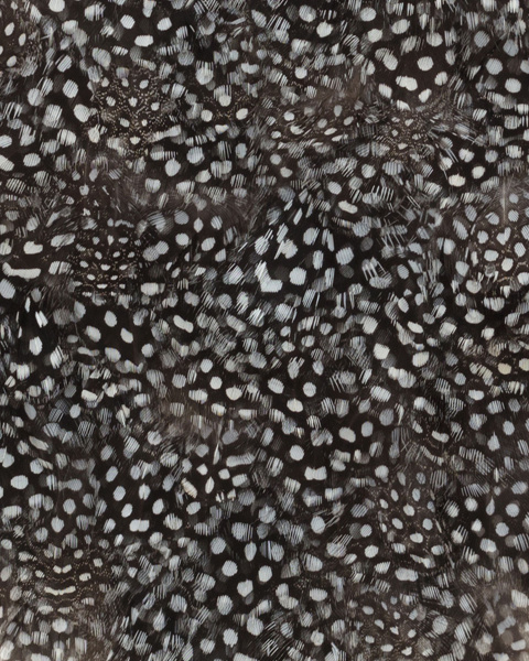 Перьевой клатч с цепочкой