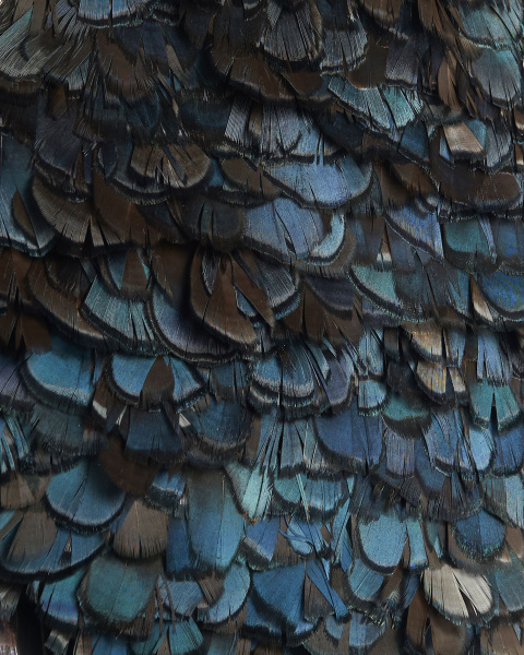 Перьевой клатч с цепочкой