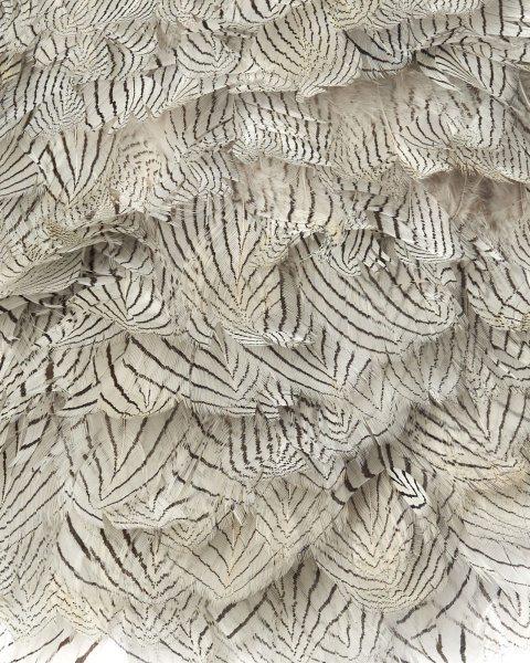 Перьевой клатч с цепочкой